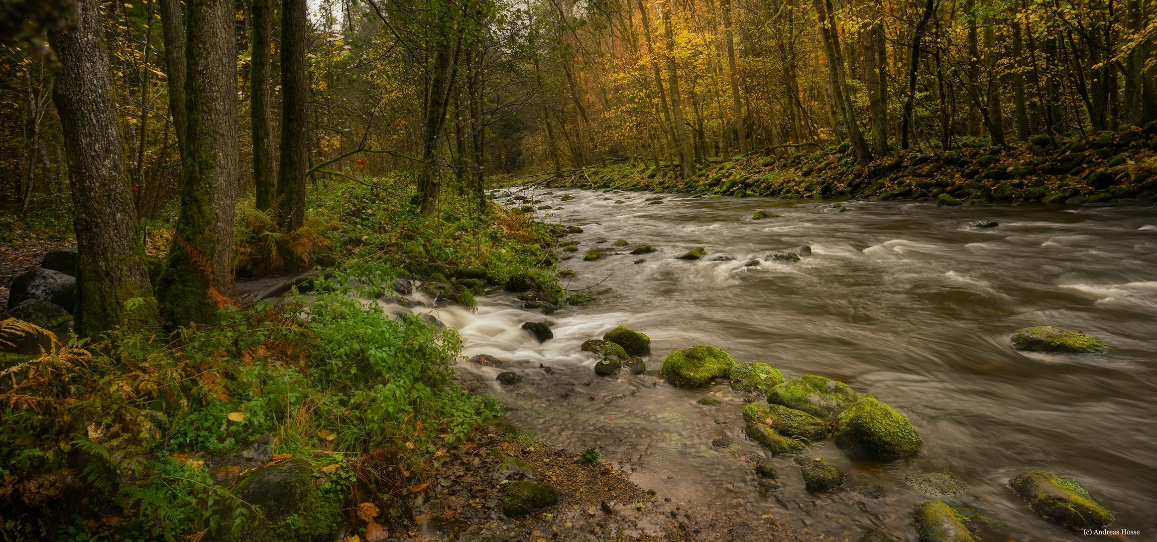 Herbst-Tage