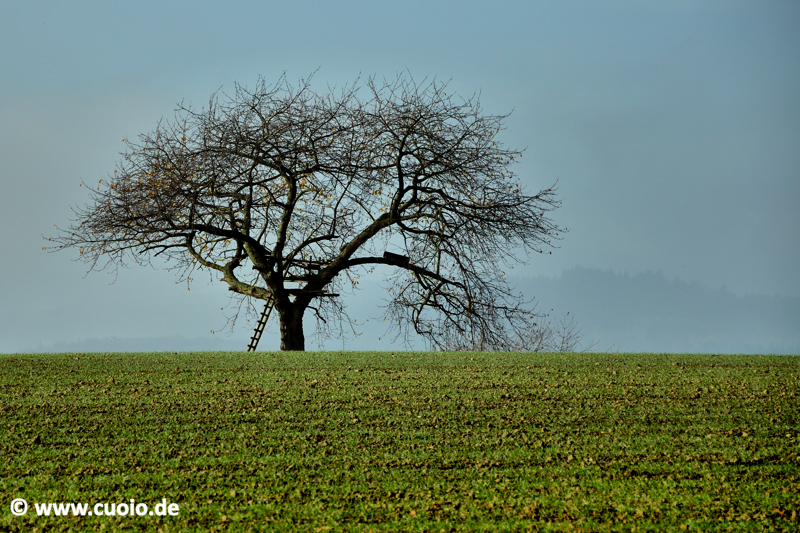 Herbst - Taunus