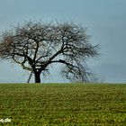 Herbst - Taunus