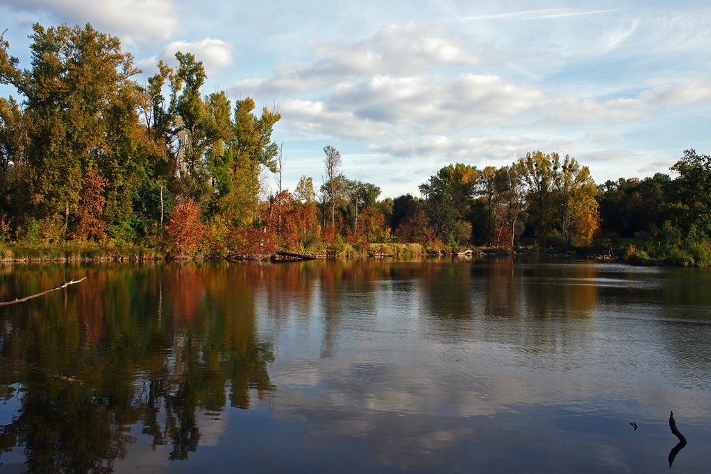 Herbst-Teich