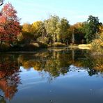 HERBST-TEICH-BOTANISCHER GARTEN MÜNCHEN