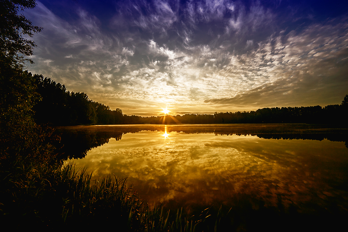 Herbst -Teich - Licht...