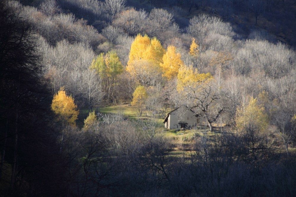 Herbst - Tessin