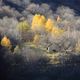 Herbst - Tessin