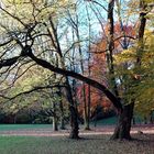 Herbst-Töne