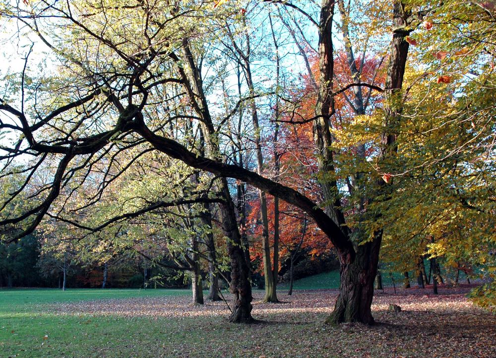 Herbst-Töne