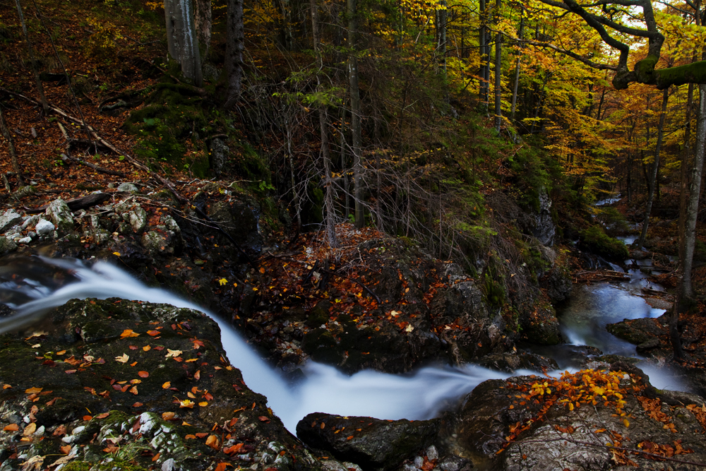 Herbst total am Wasserfall