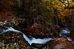 Herbst total am Wasserfall