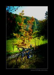 Herbst Tour