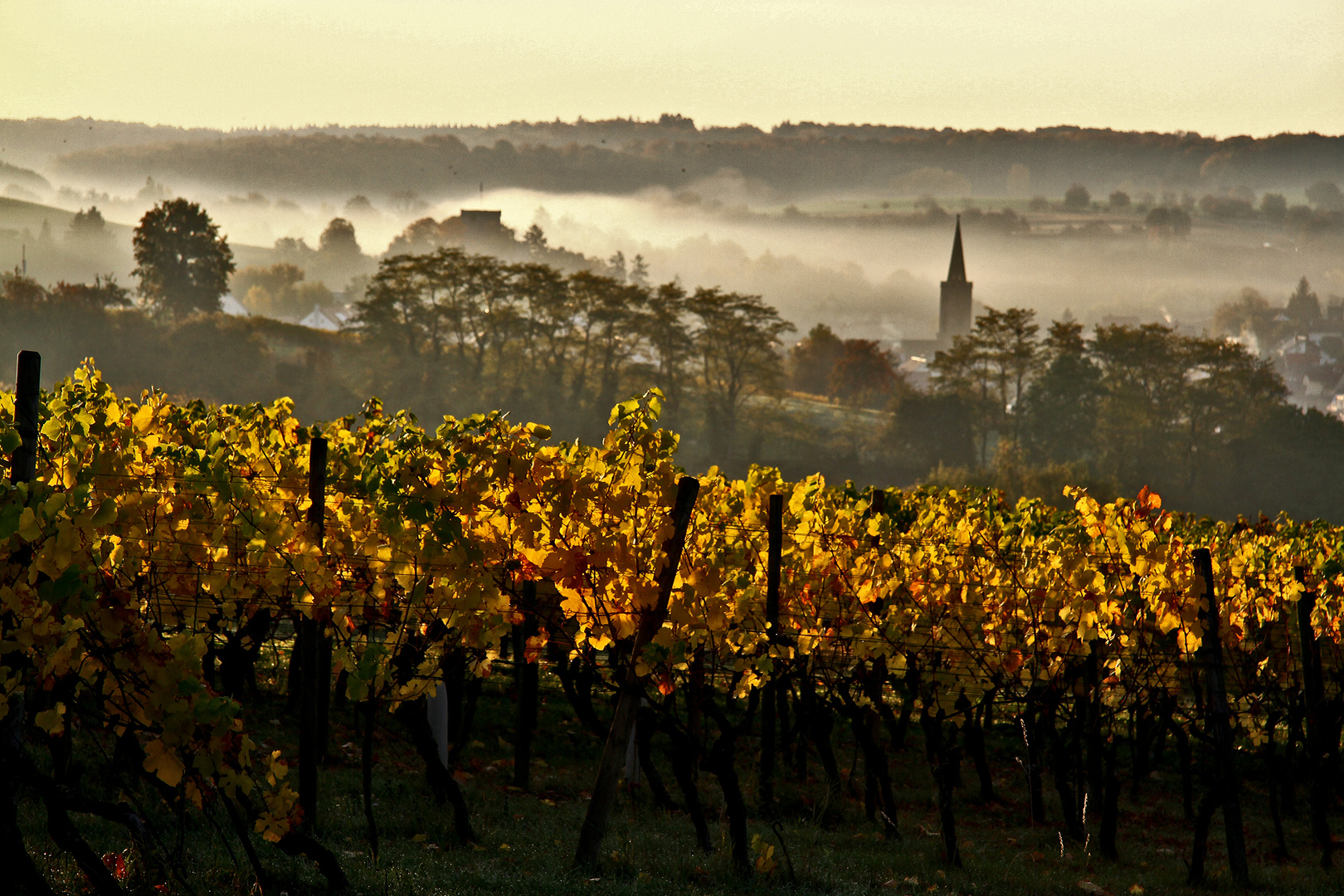 Herbst Träume..