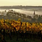 Herbst Träume..