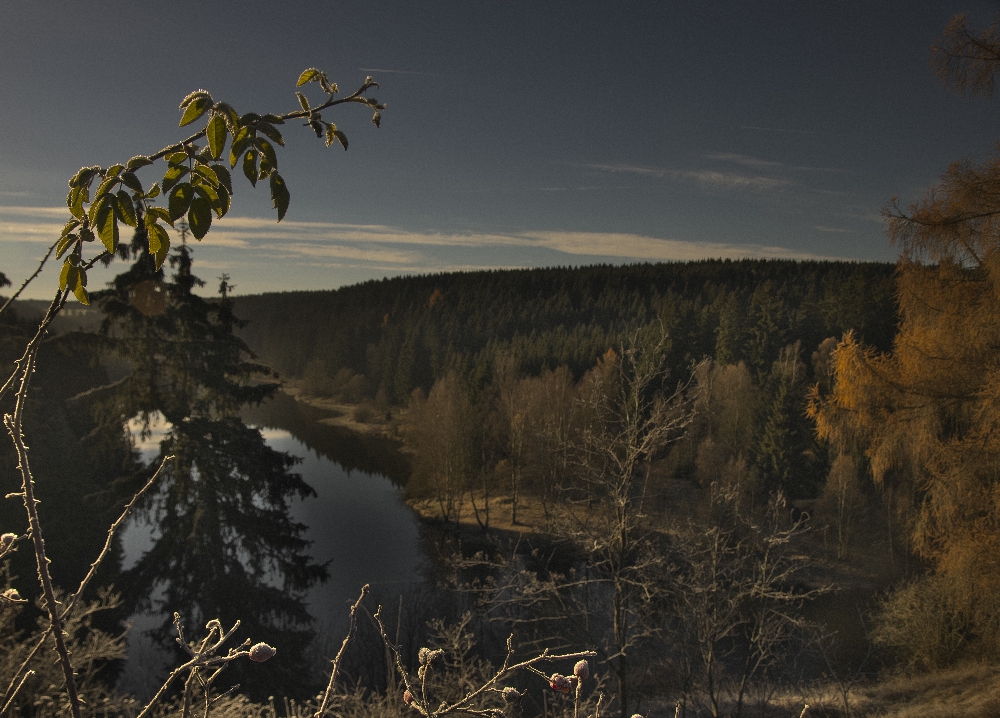 Herbst Trail