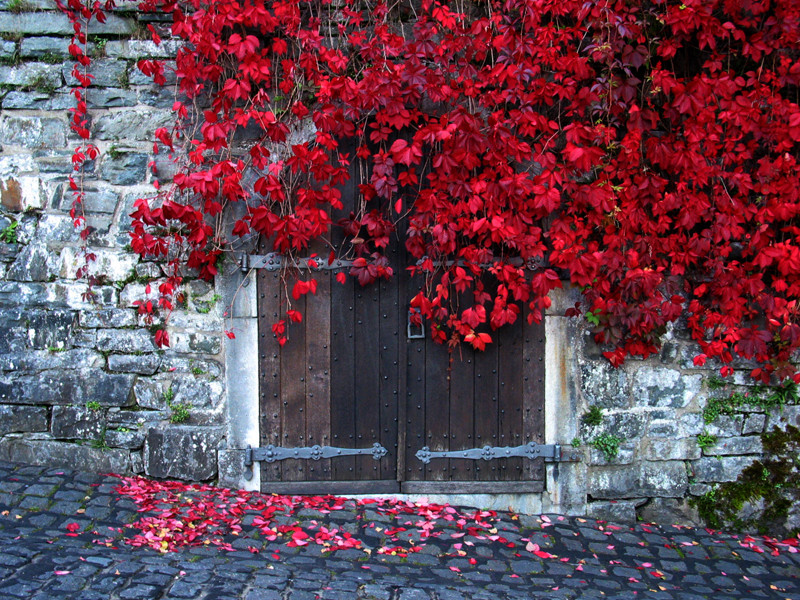 Herbst Traum