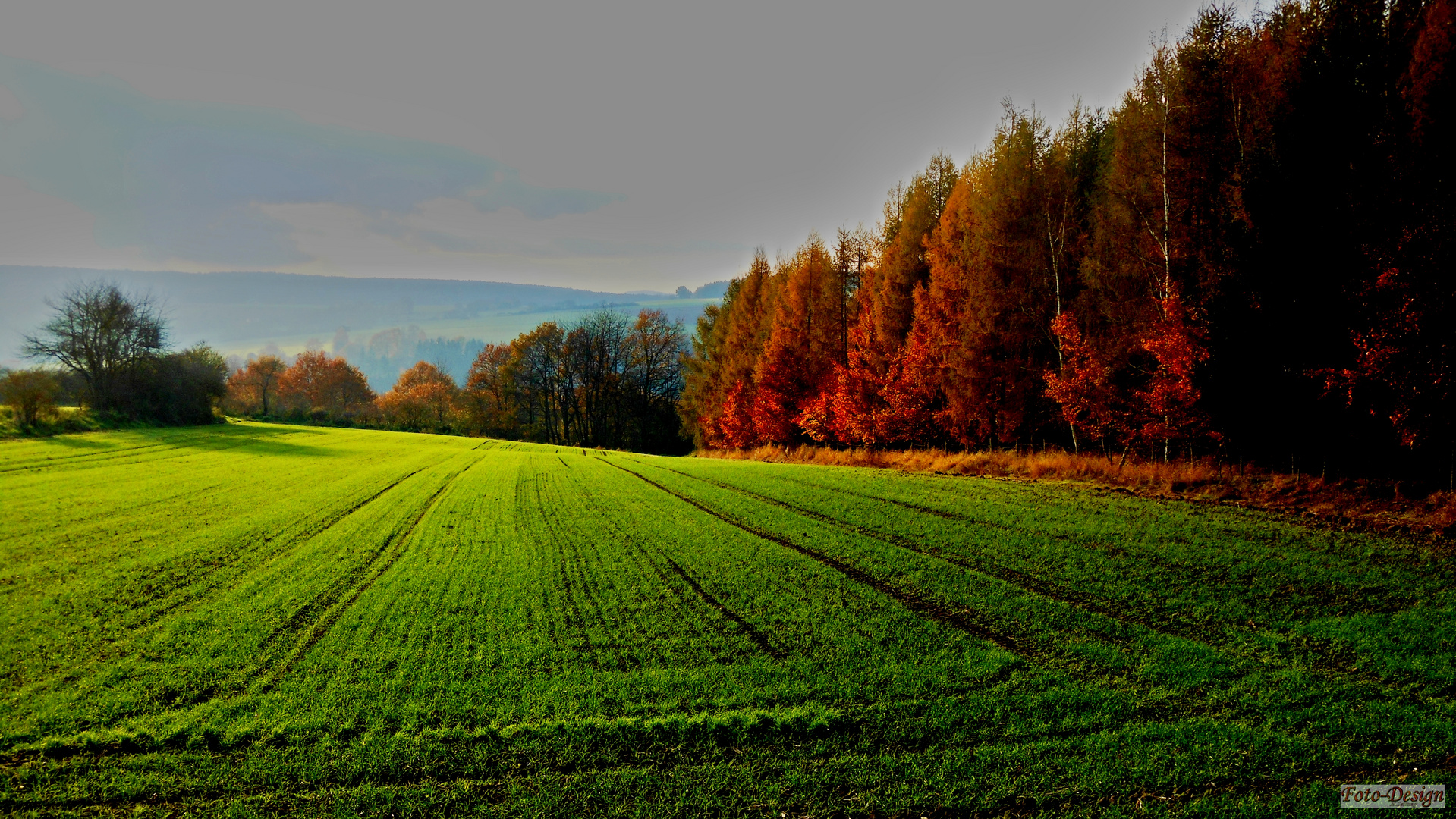 Herbst-Traum