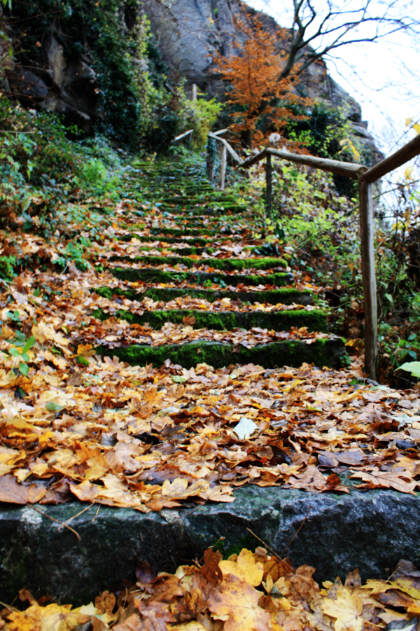 Herbst Treppe