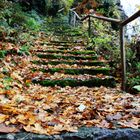 Herbst Treppe