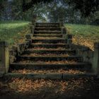 "Herbst"-Treppe im Park von Wolfshagen