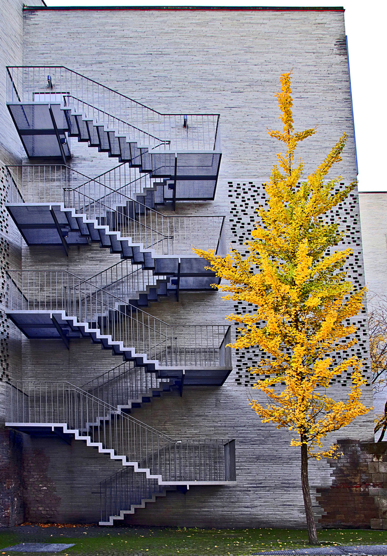 Herbst trifft Architektur.....