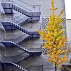 Herbst trifft Architektur.....