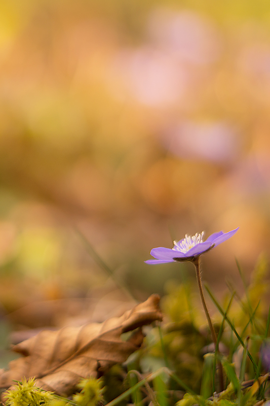 Herbst trifft Frühling