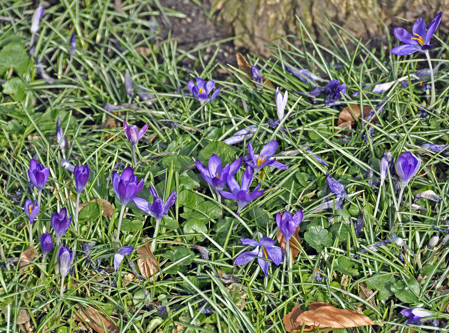 Herbst trifft Frühling