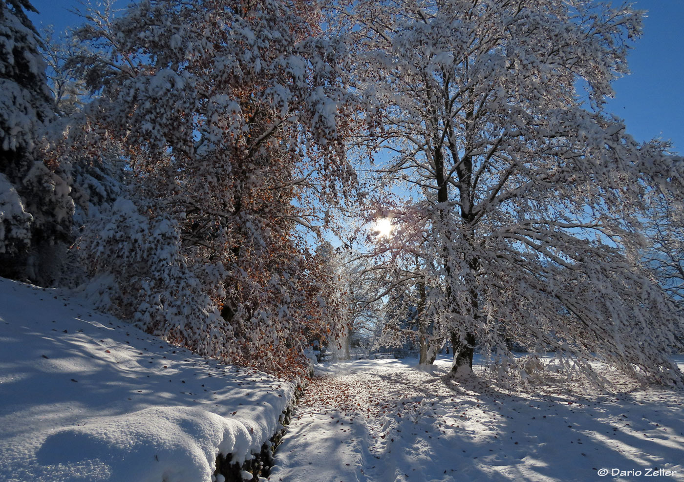 Herbst trifft Winter