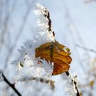 Herbst trifft Winter