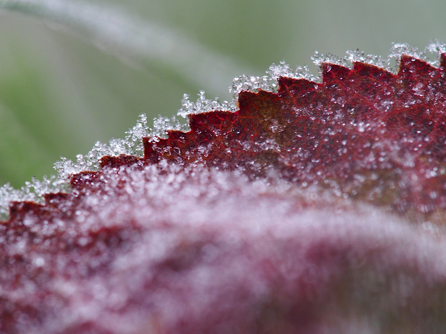 Herbst trifft Winter