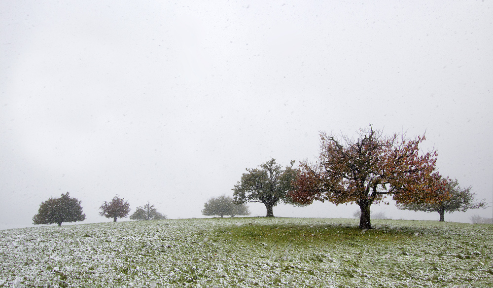 Herbst trifft Winter