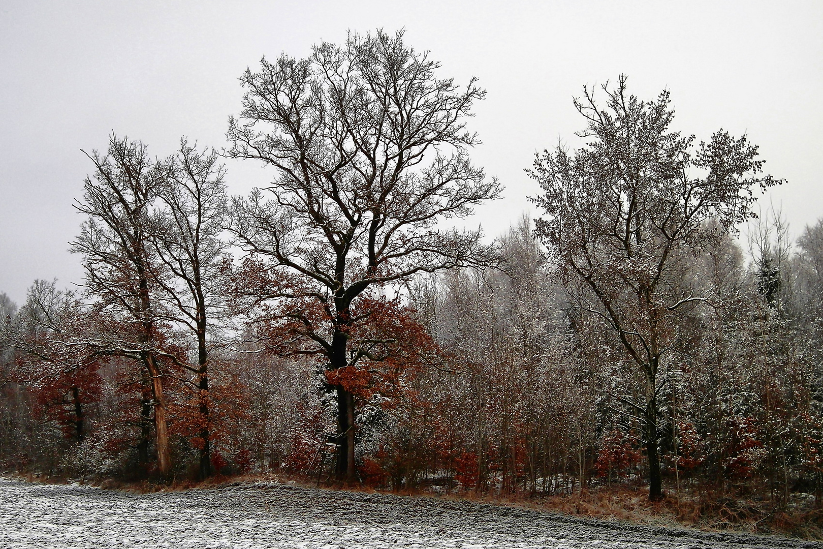 Herbst trifft Winter