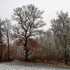 Herbst trifft Winter