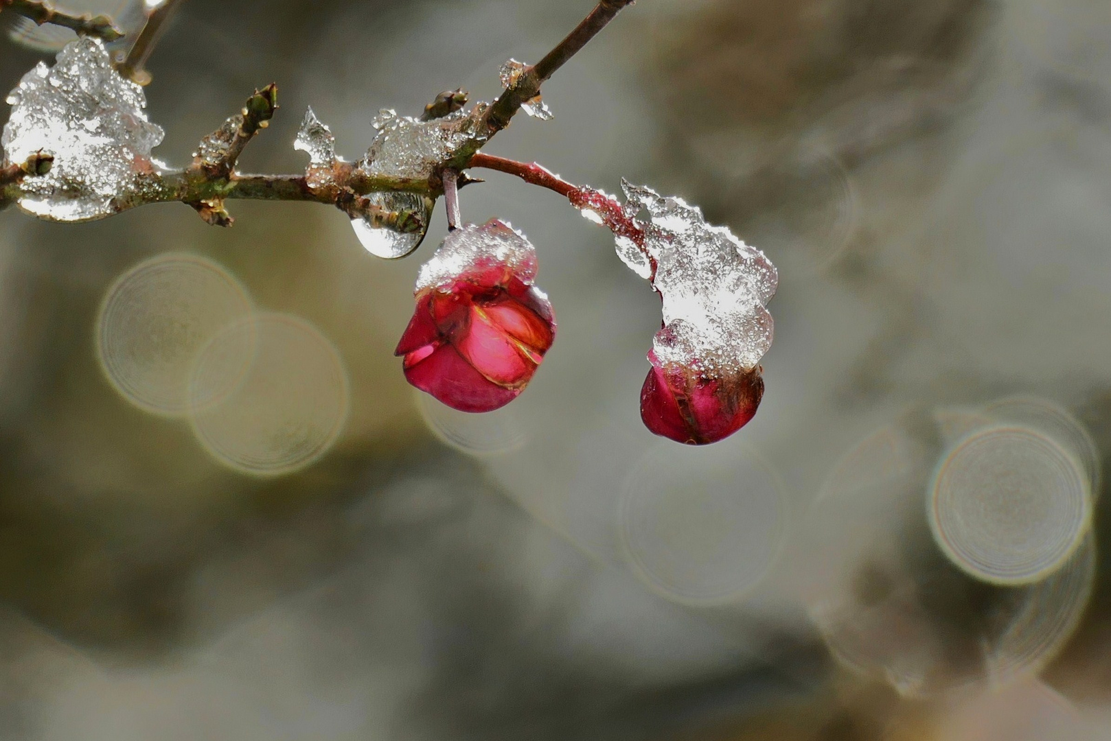 Herbst trifft Winter