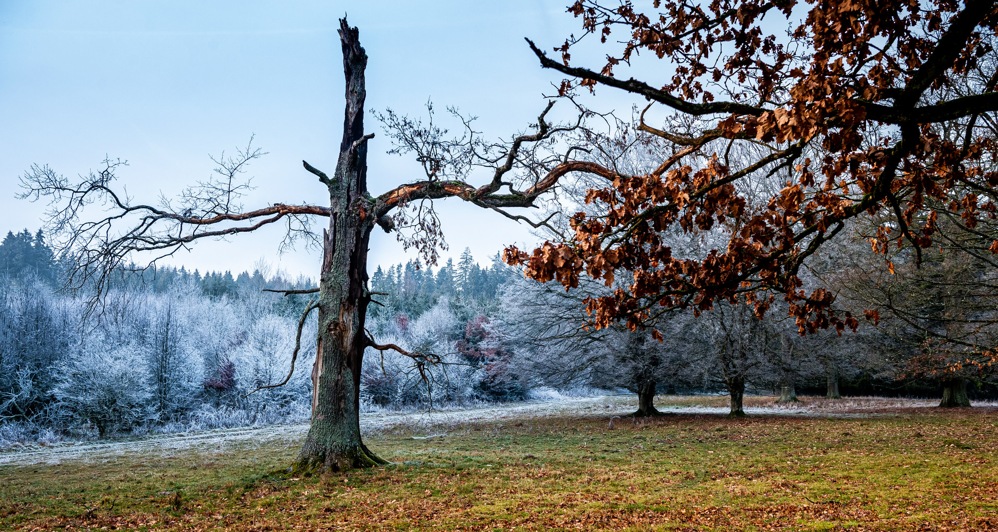 Herbst trifft Winter