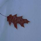 Herbst trifft Winter