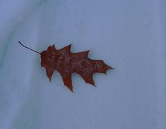 Herbst trifft Winter