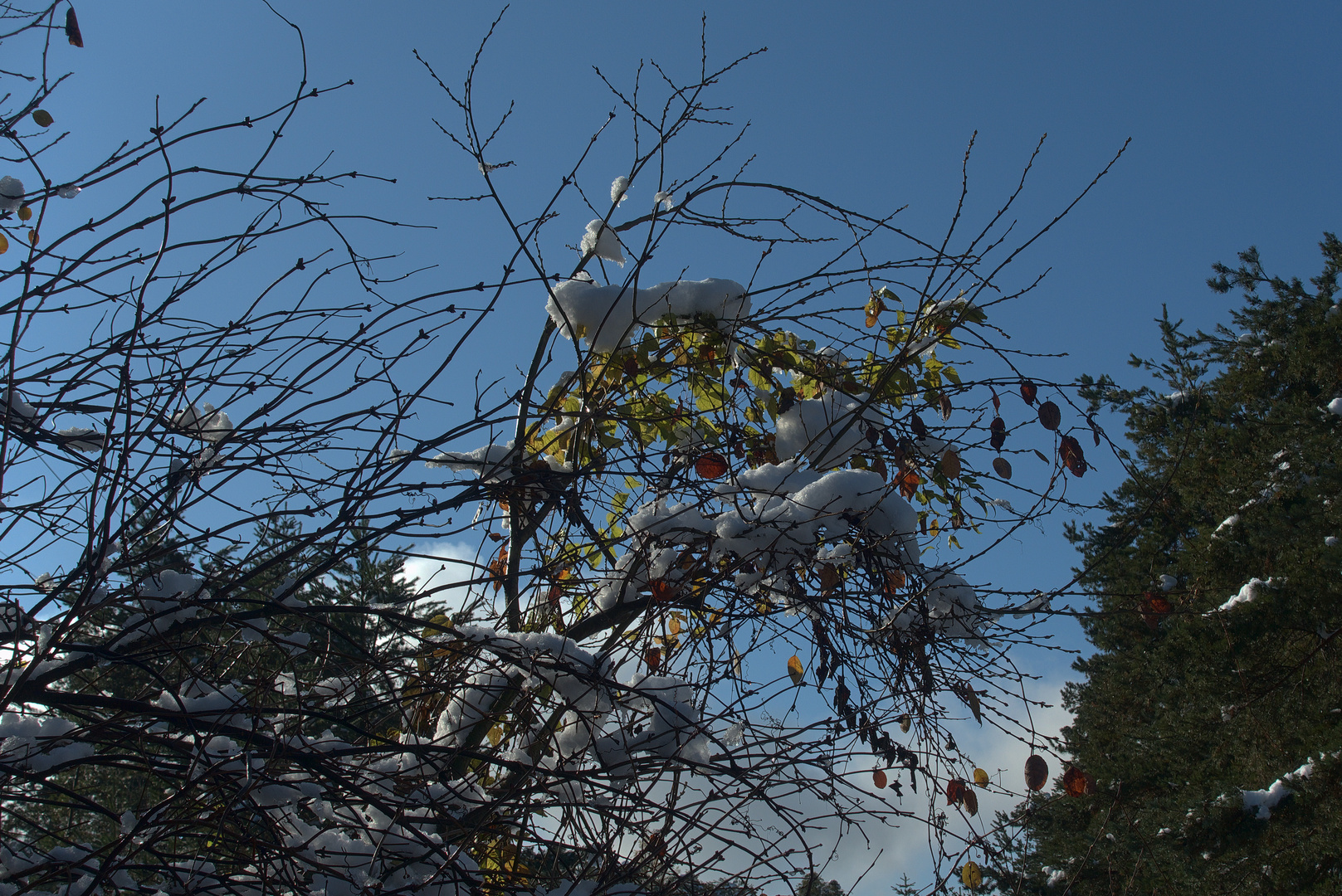 Herbst trifft Winter