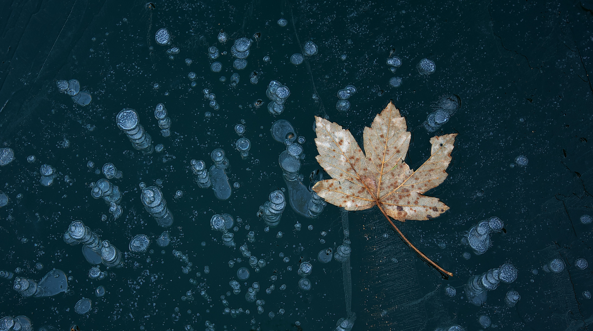 Herbst trifft Winter