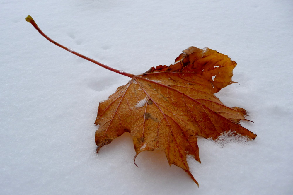 Herbst trifft Winter