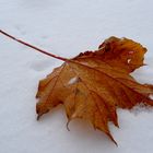 Herbst trifft Winter