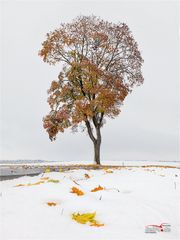 Herbst trifft Winter