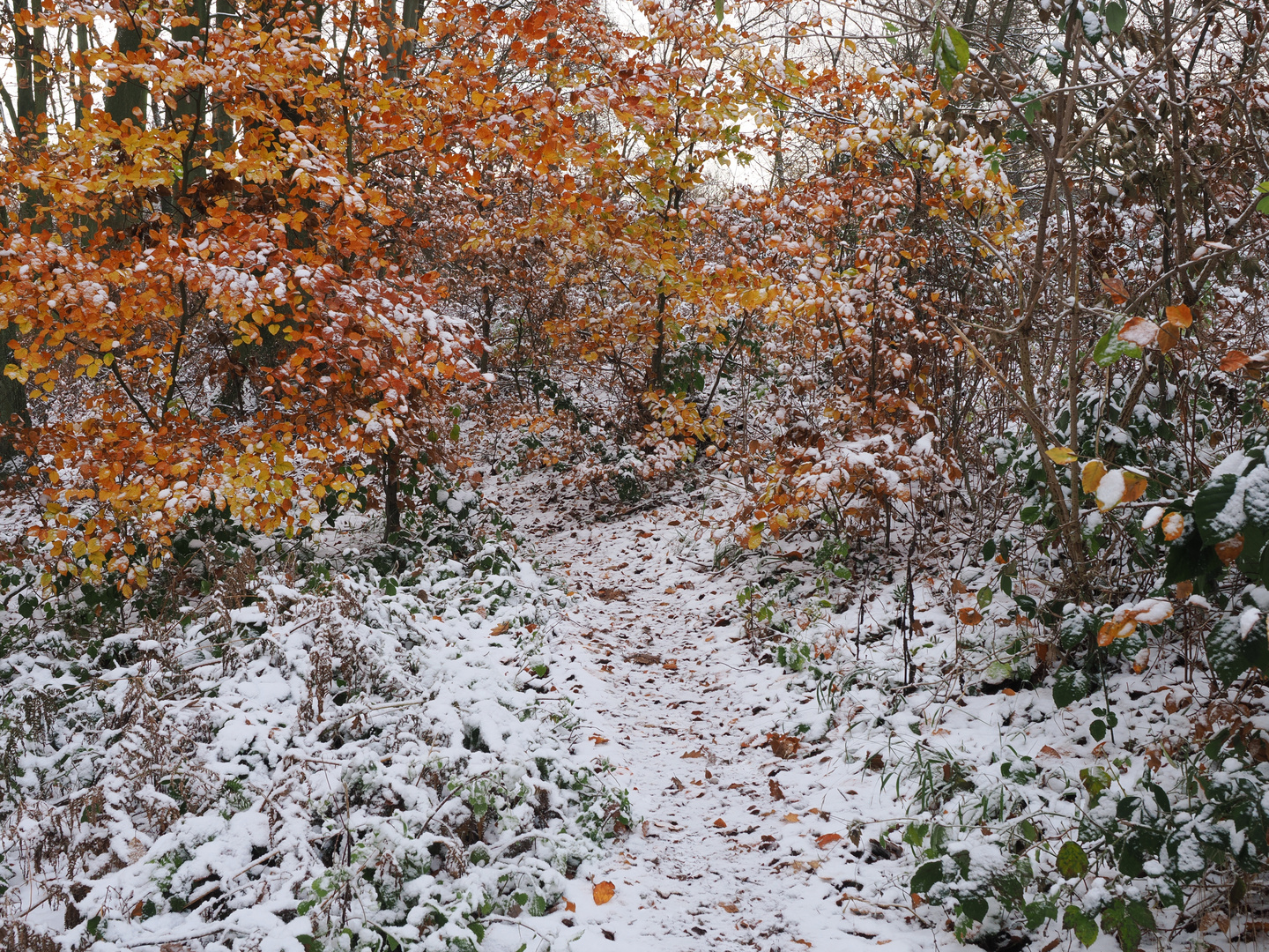 Herbst trifft Winter