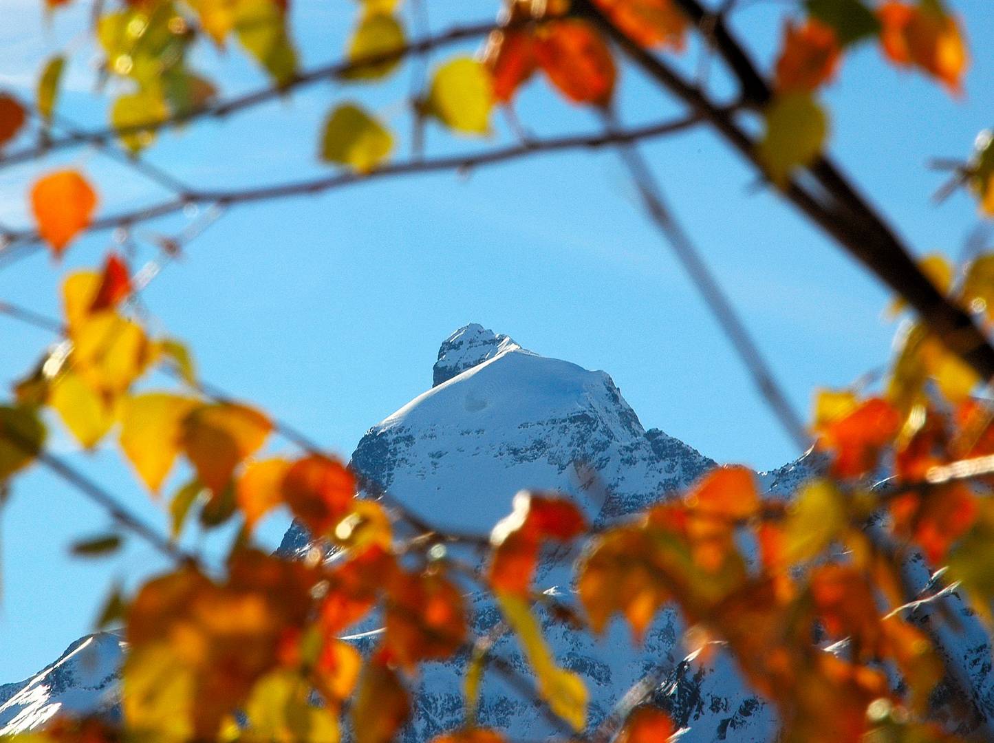 Herbst trifft Winter - Großes Wiesbachhorn