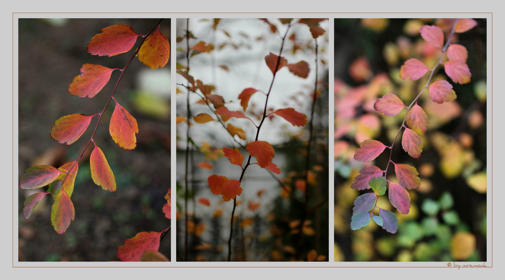 herbst-trilogie