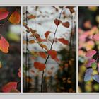 herbst-trilogie