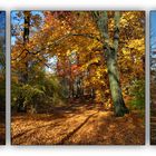 Herbst - Trilogie