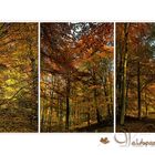 HERBST-TRIO