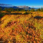 Herbst Tundra