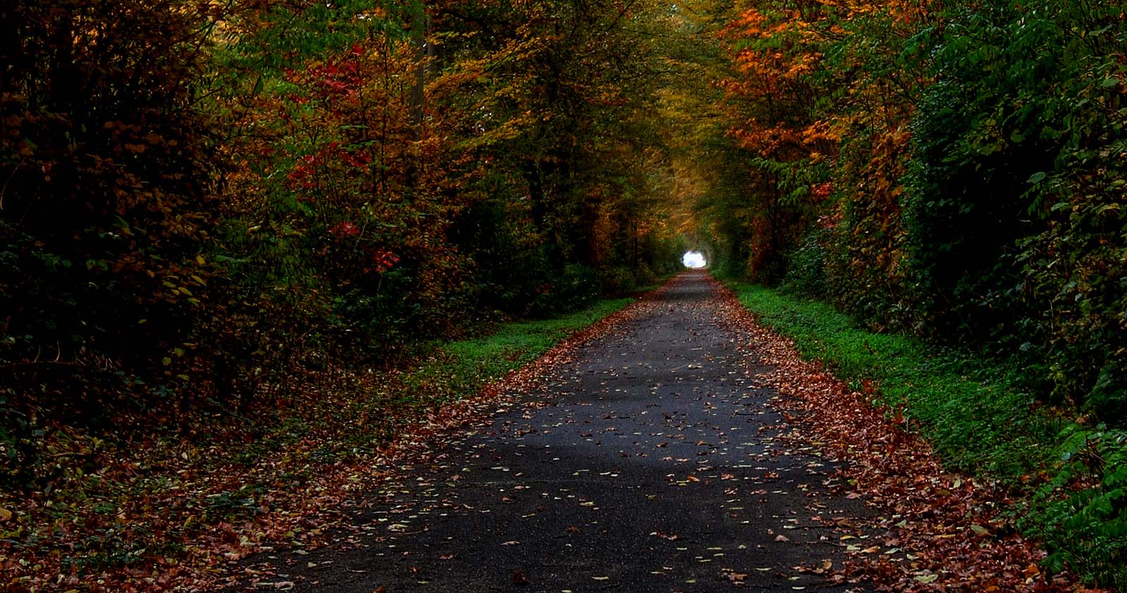 Herbst Tunnel