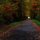 Herbst Tunnel