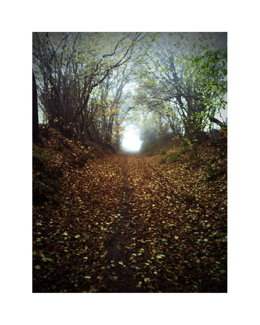 Herbst-Tunnel